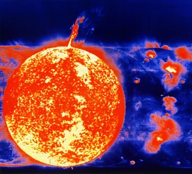 Sonnenflecken und Protuberanzen im Jahr 1973. Bild vom Sonnenteleskop Skylab.